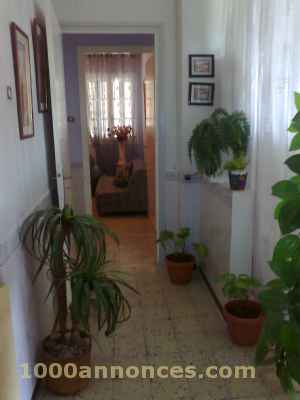Propriétés à vendre
